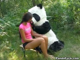 เพศ วีดีโอ ใน the ป่า ด้วย a มหาศาล ของเล่น panda